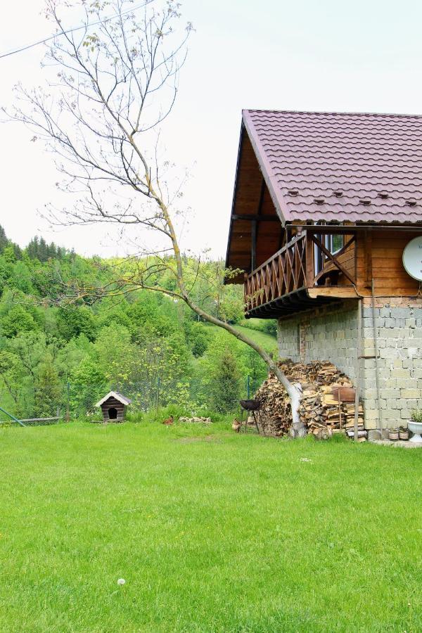Apartamento Багрівчанка Yaremche Exterior foto