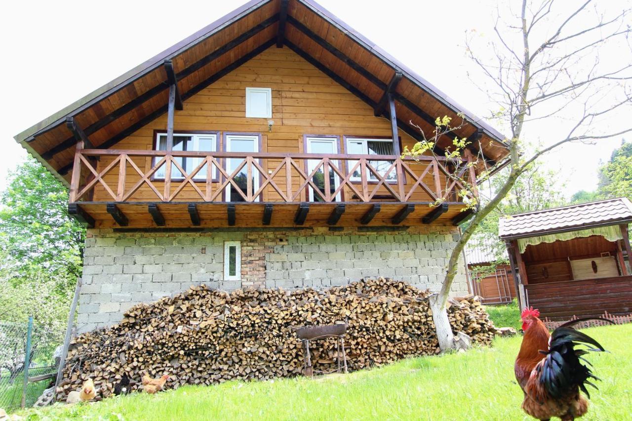 Apartamento Багрівчанка Yaremche Exterior foto