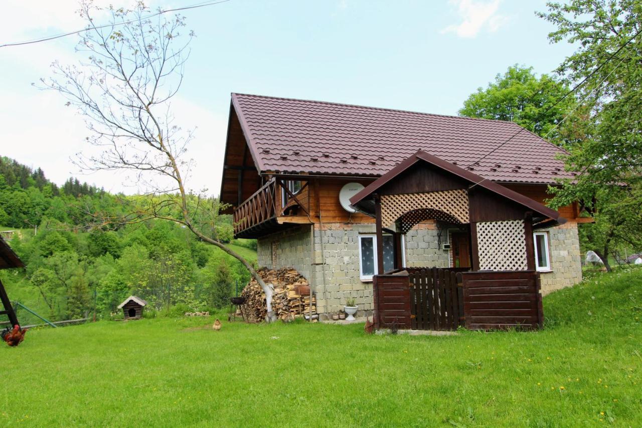 Apartamento Багрівчанка Yaremche Exterior foto